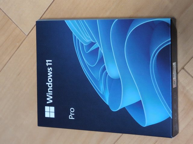 OS: Windows 11 Pro